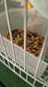 茨格曼鹦鹉饲料 虎皮玄风鸟食谷子画眉鸽子牡丹文鸟饲料 实拍图