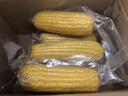 京鲜生东北黄玉米棒200g×8棒25年新玉米 真空黏玉米 多种包装 源头直发 实拍图