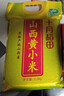十月稻田 山西黄小米 5斤 25年新米 小米杂粮 五谷杂粮营养早餐粥米 粗粮 实拍图