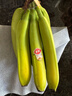 佳农 进口大把香蕉净重2.4斤 家庭装 生鲜水果 源头直发 包邮 实拍图