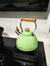 苏泊尔SUPOR 鸣笛不锈钢开水壶 复合底磁通烧水壶 2.5L绿色ES25TS01-G 实拍图