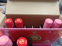 劲牌 中国劲酒 35度 125ml*6瓶 礼盒装（红粉组合装） 自饮 送礼 实拍图