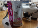 靓贝猫粮 牛肉三文鱼 猫粮 幼猫 成猫 通用全价猫粮 10kg20斤 实拍图