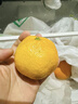 京鲜生 无核蜜桔 精选5斤装橘子/桔子  单果80g+ 生鲜水果礼盒 实拍图