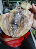 北海印象北海特产墨鱼干尝鲜50g淡晒干墨鱼煲汤滋补干货 年货春节送礼礼品 实拍图