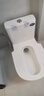 星雨洁 台式蹲便器 坐便器马桶改蹲坑免砌台安装陶瓷水箱一体防臭大便器 300坑距存水弯款高配（包安装-不拆旧） 实拍图