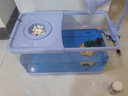 阔庭（KUOTING）鱼缸水族箱生态桌面鱼缸新款懒人鱼缸生态造景过滤制氧一体机蓝色 实拍图