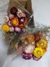 爱满干花 真花 云南麦杆菊花小雏菊天然风干花束摆设插花网红装饰摆件 麦秆菊彩色一束（60朵） 干树枝 实拍图
