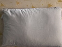 京东京造 茶香薄荷荞荞枕 100%荞麦壳透气高度可调颈椎枕花草枕头枕芯单只 实拍图