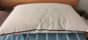 水星家纺枕头枕芯酒店枕头护颈枕头芯家用单个纯棉抗菌可水洗中枕48x74cm 实拍图