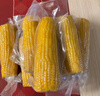 十月稻田 黄糯玉米 3.52斤(220g*8根) 东北粘苞米 早餐杂粮 蛇年限定 实拍图
