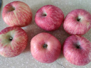 京鲜生 陕西洛川苹果红富士  净重5斤  单果200g+ 生鲜水果 实拍图