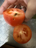 番茄约500g 实拍图