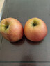 京喜加正宗昭通冰糖心苹果脆甜多汁 整箱1斤A+级中果【果径70-75】 实拍图