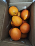 集南鲜 赣南脐橙 江西橙子新鲜现摘水果脐橙时令生鲜水果甜橙 水果礼盒 净重4.5斤 特级橙  单果200g+ 实拍图