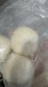 悦味纪 手工老面馒头640g*2包 12个 绿色食品 山东戗面千层馒头速食 实拍图