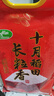 十月稻田 2025年新米 长粒香大米 10斤（东北大米 香米 5公斤/十斤） 实拍图