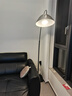 清瑶客厅沙发旁落地灯现代简约北欧全光谱卧室钓鱼灯极简设计感立式灯 护眼款中号190CM精灵-大理石底座 实拍图