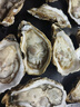 鲜京采 鲜活生蚝5XL 净重5斤 9-12只 鲜活到家 生鲜海鲜 源头直发 实拍图