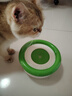 licheers狗狗水碗宠物悬浮喝水碗不湿嘴狗碗小型宠物狗水碗饮水器 绿色 实拍图