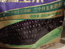 十月稻田 黑糯玉米 3.52斤(220g*8根) 东北玉米 杂粮粗粮 低脂早餐 实拍图