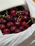 攸竹智利空运进口车厘子樱桃 美早大樱桃 车厘子巨无霸樱桃水果礼盒 1000g(净重) 礼盒装 4J级 智利车厘子 精美礼盒 全程保鲜 实拍图