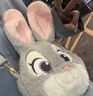 迪士尼（Disney）疯狂动物城朱迪萌友同行单肩包可爱玩偶实用包生日礼物送女友闺蜜 实拍图