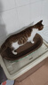 疯狂的主人猫抓板窝碗形超大号猫抓盆不掉屑猫窝宠物猫玩具瓦楞纸猫爪板 实拍图