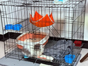 宠乐乖（CHONGLEGUAI）猫笼双层大号加粗侧开门折叠猫笼咪子多层猫舍猫窝宠物用品850MLZ 实拍图