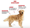 皇家狗粮 金毛成犬狗粮 犬粮 宠物大型犬 GR25 全价犬粮 ≥15月 12KG 实拍图
