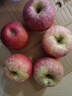 正宗粉面苹果新鲜应季水果老树秦冠红星老人宝宝粉面刮泥香蕉苹果 净重8.5斤【特大】 实拍图