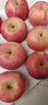 京鲜生 烟台红富士苹果 净重10斤  单果160g以上 水果礼盒 实拍图