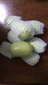 京鲜生 山东玉女小黄瓜 净重3斤 单果80g+ 青瓜水果拇指黄瓜 源头直发 实拍图