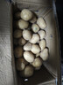 山东土豆新鲜现挖2025新土豆农家马铃薯黄皮黄心大包装健康即食 黄心土豆小果 9斤(净重) 实拍图
