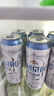 青岛啤酒（TsingTao）全麦白啤 精酿白啤 500ml*10听 礼盒装  佳节送礼 年货送礼 实拍图