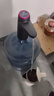佰好佳电动抽水器桶装水抽水神器吸水抽水泵自动抽水器抽水机上水一体机 曜夜黑【365天免费换新】 实拍图