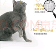 皇家猫粮 英短成猫粮 BS34 通用粮 12月以上 10KG 实拍图