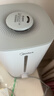 美的（Midea）空气加湿器家用卧室客厅大雾量孕妇母婴幼儿静音抗菌鼻炎办公室桌面小型迷你雾化器元旦礼物3G40S 实拍图