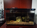 米家（MIJIA）智能生态鱼缸还原自然生态 智能鱼缸+滤芯套装 实拍图