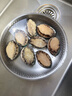 渔传播【保鲜不保活】鲜活鲍鱼净重1斤8-10只 海鲜贝类年货聚餐源头直发 实拍图
