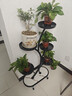 花架客厅2025新款轻奢花架置物架阳台多肉万向轮花盆托架多层铁艺 招财树五盆黑 实拍图