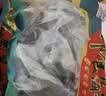 皇家麒麟 即食海参 即食大连刺参单个装辽刺参海参干货水产礼盒净含量500g 7A鲜食海参 8-12只/斤-家庭首选 两斤装【畅销装】 实拍图