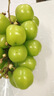 京鲜生 阳光玫瑰葡萄 青提2-2.5斤装 单果约10g 生鲜水果 实拍图