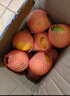 XIAOBO FARM正宗赣南脐橙甜橙 鲜橙子手剥橙榨汁果冻橙冰糖半价水果 4.5-5斤60mm+ 实拍图