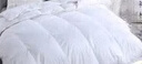 斯诺曼高档100支贡缎95%白鹅绒羽绒被芯 子母被子2.0*2.3m充350g+800g白 实拍图