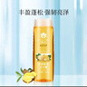 蜂花洗发水生姜啤酒花洗发露膏生姜健发男女士去油蓬松柔顺500ml 实拍图