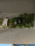 有机香菜50g 实拍图