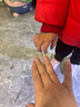 艾杰普（JEPPE）卡通指甲贴宝宝穿戴甲安全无毒小女孩可爱美甲贴片新年礼物小学 实拍图