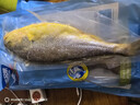 海名威宁德三去大黄鱼 对半厚切黄花鱼 净重2斤/3片装 海鲜 生鲜 年货节 实拍图