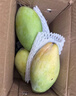 京鲜生新鲜玉芒  净重3斤 单果300g＋ 新鲜水果 源头直发包邮 实拍图